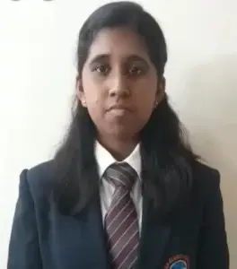 schools in electronic city