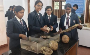 Grade 10 and 12 students of BRS Global School Sarjapur Road visiting NIMHANS Human Brain Museum