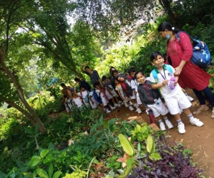 IMG-20220729-WA0031-min