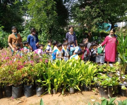 IMG-20220729-WA0034-min