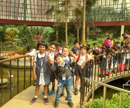 WhatsApp_Image_2022-12-16_at_16.23.59_(3)