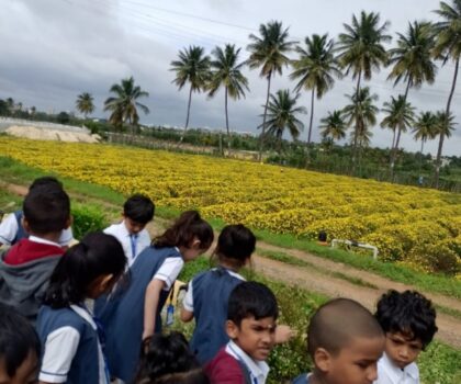 WhatsApp_Image_2024-08-29_at_15.42.39