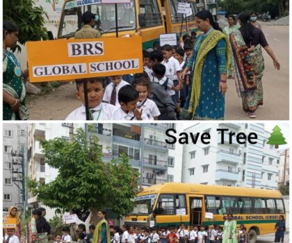 montessori-environment-day-5